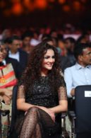 siima awards 2017 stills
